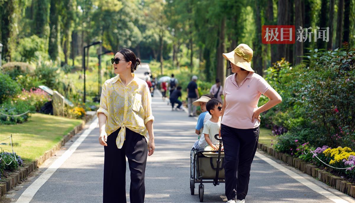 白家乐最稳的打法图